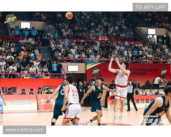 聚焦篮球运动员成长道路与赛场拼搏精神及未来发展趋势全景解析探