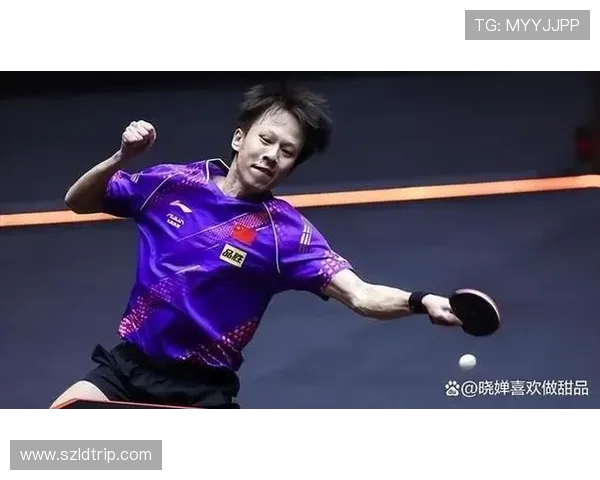 北京乒乓球队在世界锦标赛中的战术运用与表现分析