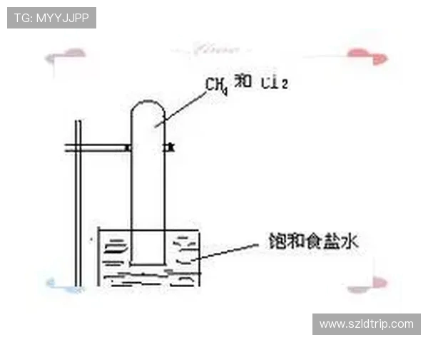 南京羽毛球队中路突破的秘密与技术解析深度探讨