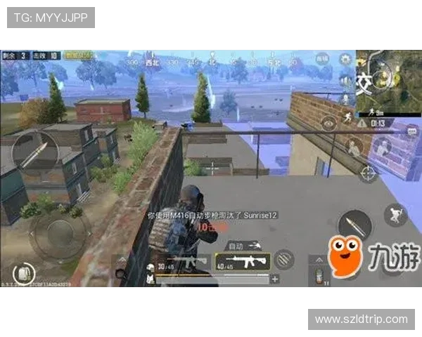 和平精英战术解析：深入探讨FPX的区域防守策略与执行细节