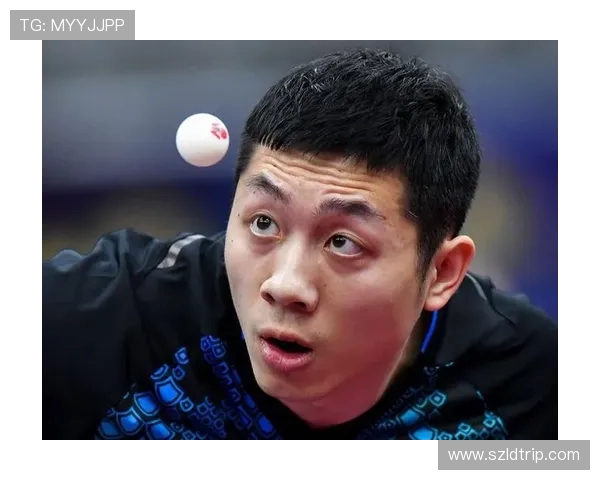 杭州乒乓球队在总决赛积分榜中以60分稳居第一名展现强劲实力