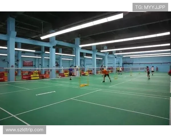 深圳羽毛球队的崛起与实力分析探讨羽毛球运动的未来发展方向 深圳羽毛球队的崛起与实力分析探讨羽毛球运动的未来发展方向