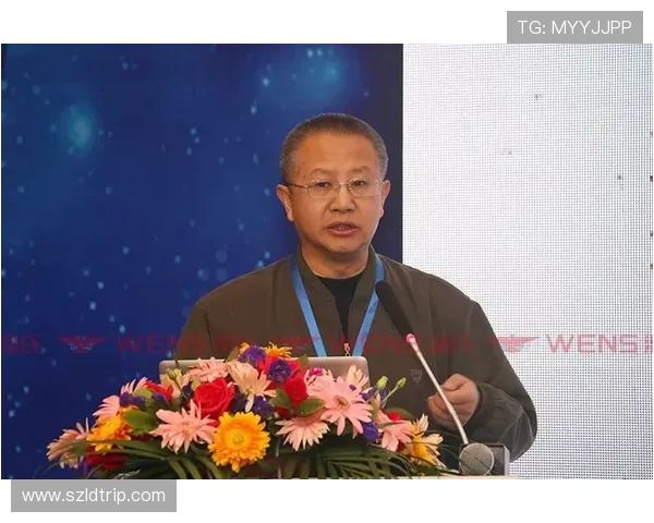 深度分析WE的运营策略与市场表现全景解读 深度分析WE的运营策略与市场表现全景解读