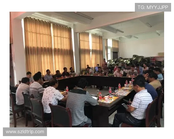 代怀博的崛起与未来发展趋势分析及其在行业中的影响力探讨