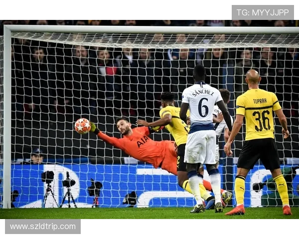 多特蒙德对阵热刺比赛结果分析及精彩瞬间回顾 多特蒙德对阵热刺比赛结果分析及精彩瞬间回顾